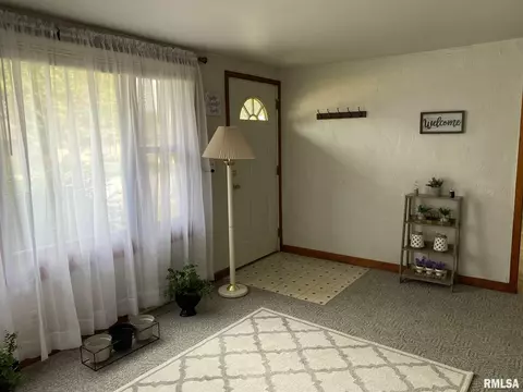 316 Edgewood St, Morton, IL 61550 photo 23