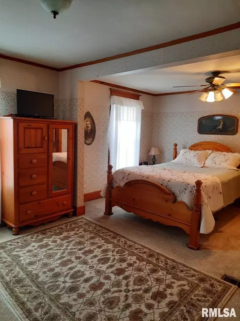 113 E Myrtle St, Canton, IL 61520 photo 25