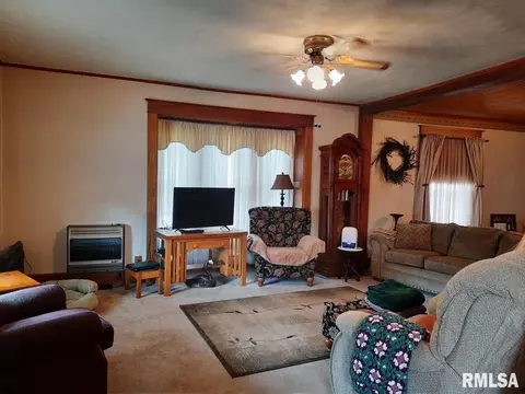 113 E Myrtle St, Canton, IL 61520 photo 7