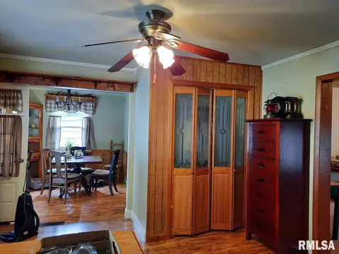 113 E Myrtle St, Canton, IL 61520 photo 13