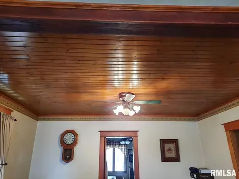 113 E Myrtle St, Canton, IL 61520 photo 10