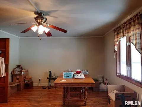 113 E Myrtle St, Canton, IL 61520 photo 12