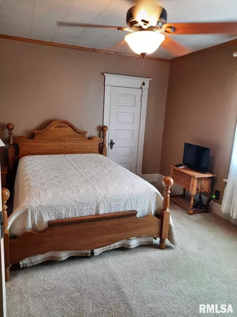 113 E Myrtle St, Canton, IL 61520 photo 30