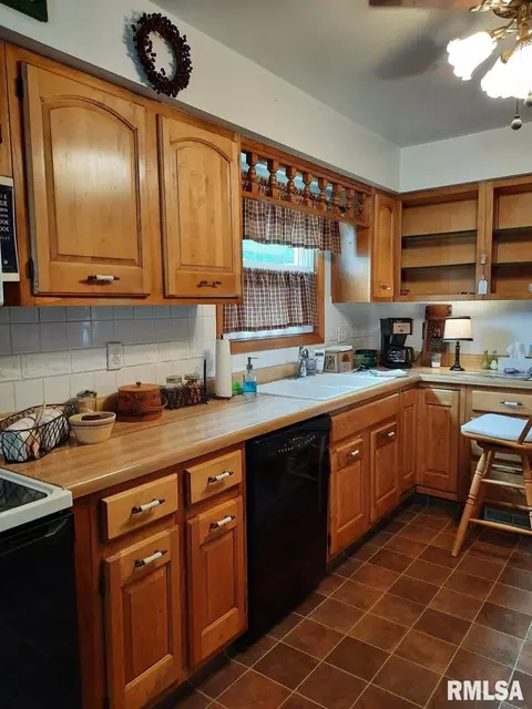 113 E Myrtle St, Canton, IL 61520 photo 16