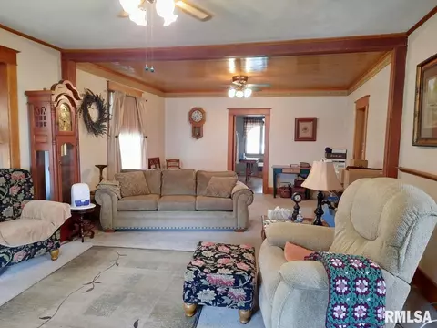 113 E Myrtle St, Canton, IL 61520 photo 8