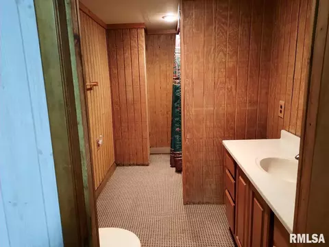 113 E Myrtle St, Canton, IL 61520 photo 39