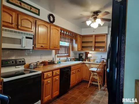 113 E Myrtle St, Canton, IL 61520 photo 15