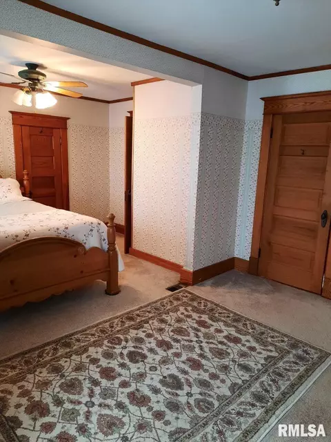 113 E Myrtle St, Canton, IL 61520 photo 26