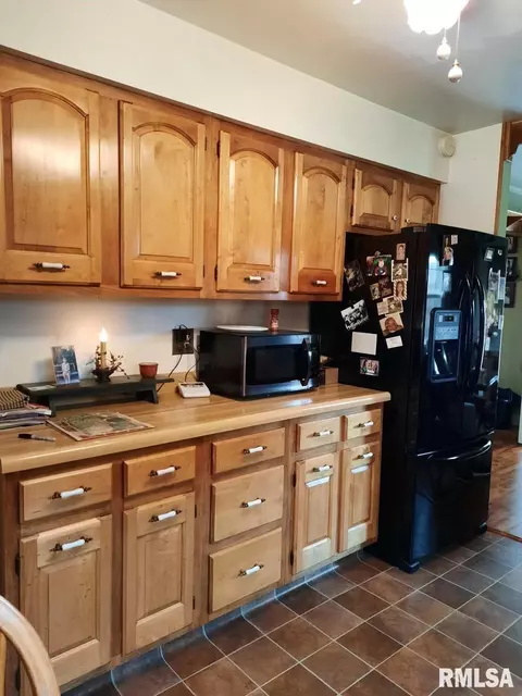 113 E Myrtle St, Canton, IL 61520 photo 18