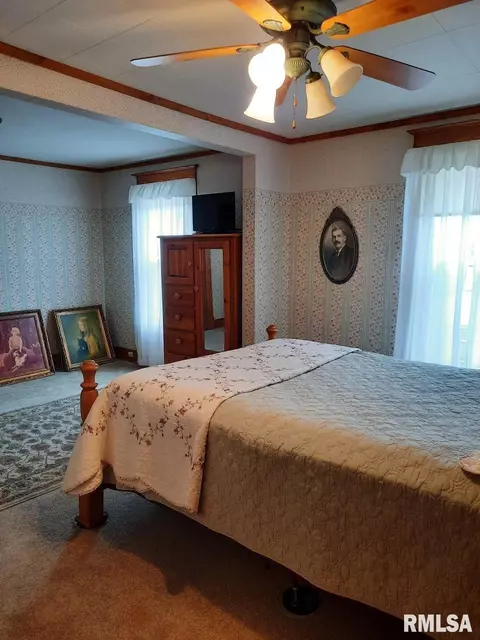 113 E Myrtle St, Canton, IL 61520 photo 23