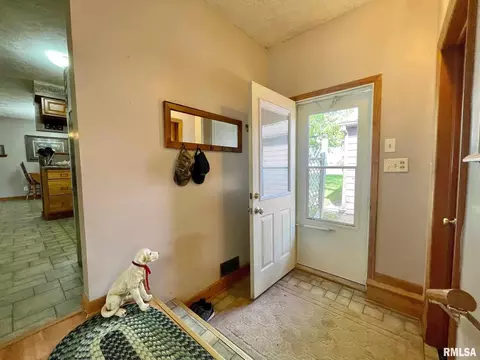 301 1st St, Congerville, IL 61729 photo 25