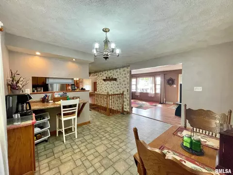 301 1st St, Congerville, IL 61729 photo 9