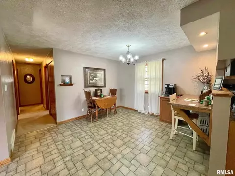 301 1st St, Congerville, IL 61729 photo 8