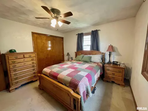 301 1st St, Congerville, IL 61729 photo 15