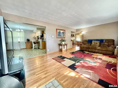 301 1st St, Congerville, IL 61729 photo 3