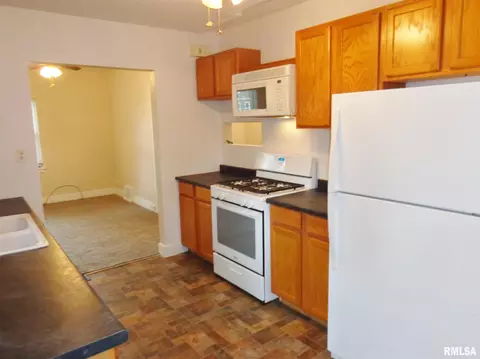 315 N Kickapoo Ter, Peoria, IL 61604 photo 13