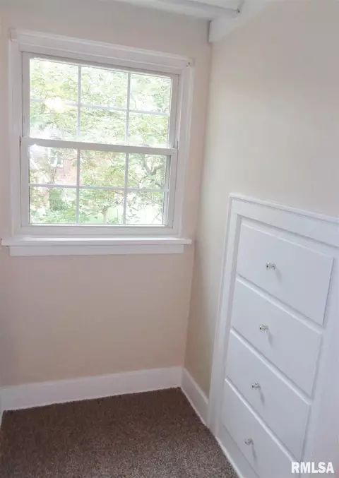 315 N Kickapoo Ter, Peoria, IL 61604 photo 23
