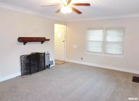 315 N Kickapoo Ter, Peoria, IL 61604 photo 8