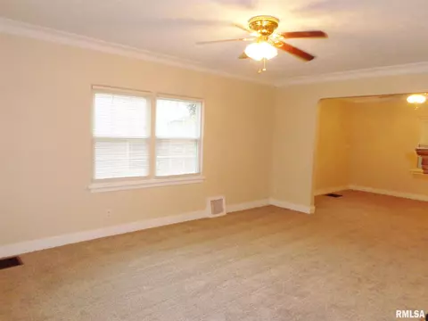 315 N Kickapoo Ter, Peoria, IL 61604 photo 9