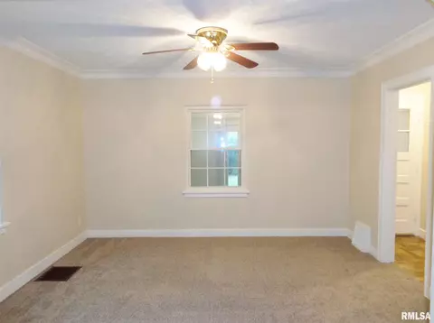 315 N Kickapoo Ter, Peoria, IL 61604 photo 12