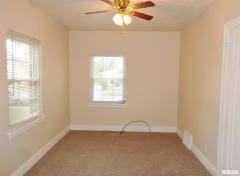 315 N Kickapoo Ter, Peoria, IL 61604 photo 17