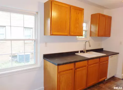 315 N Kickapoo Ter, Peoria, IL 61604 photo 14