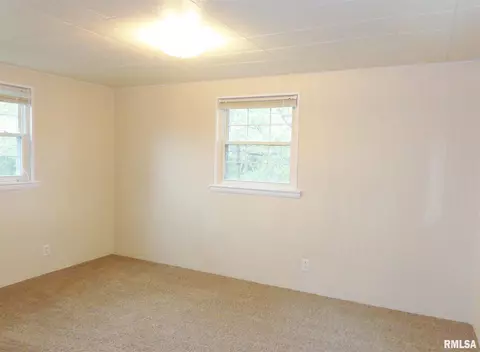 315 N Kickapoo Ter, Peoria, IL 61604 photo 24