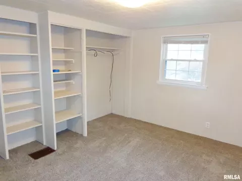 315 N Kickapoo Ter, Peoria, IL 61604 photo 25