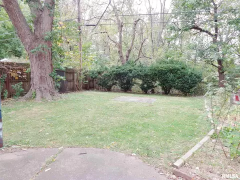 315 N Kickapoo Ter, Peoria, IL 61604 photo 6