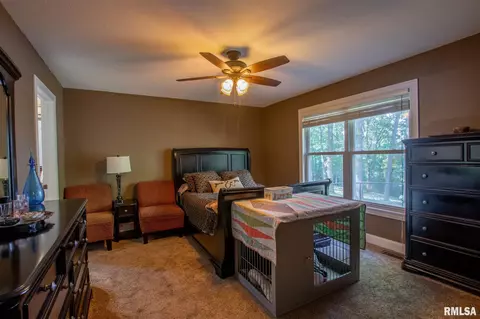 7141 Pueblo Dr, Delavan, IL 61734 photo 13