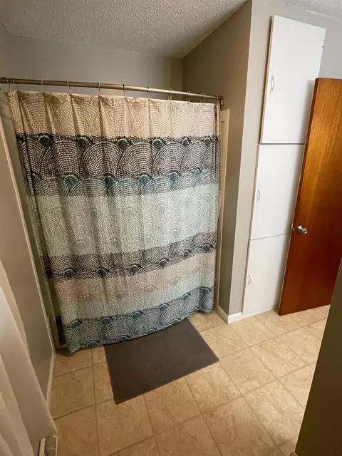 209 E 3rd Ave, Coal Valley, IL 61240 photo 15