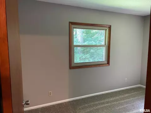 209 E 3rd Ave, Coal Valley, IL 61240 photo 9