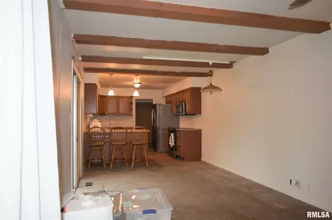 45 Laurel Dr, Canton, IL 61520 photo 10