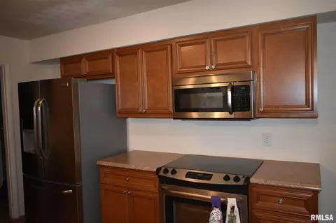 45 Laurel Dr, Canton, IL 61520 photo 15