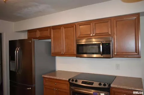 45 Laurel Dr, Canton, IL 61520 photo 14