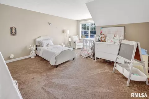 11204 N Jonathans Way, Dunlap, IL 61525 photo 35