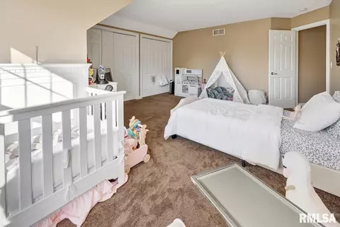 11204 N Jonathans Way, Dunlap, IL 61525 photo 36
