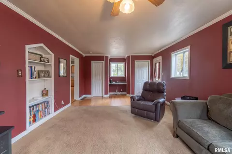 811 S Pine St, Delavan, IL 61734 photo 7