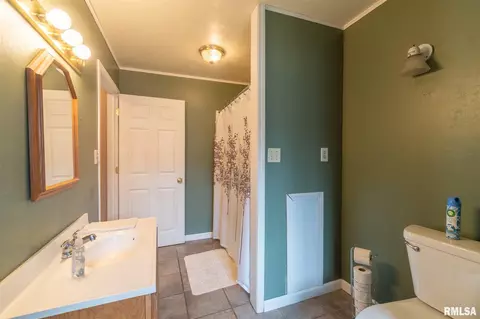 811 S Pine St, Delavan, IL 61734 photo 15