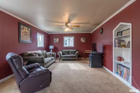 811 S Pine St, Delavan, IL 61734 photo 5