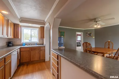 811 S Pine St, Delavan, IL 61734 photo 12