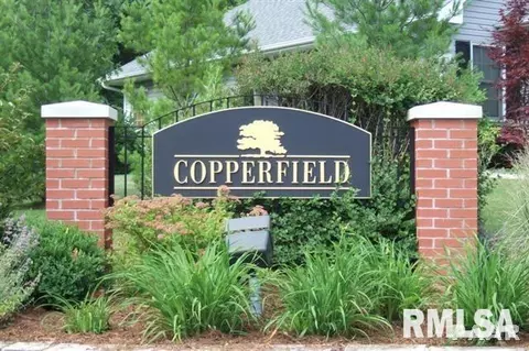628 Copperpoint Dr, Dunlap, IL 61525 photo 2