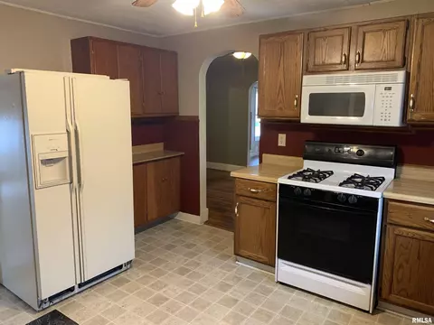 284 E Birch St, Canton, IL 61520 photo 17