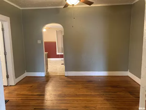 284 E Birch St, Canton, IL 61520 photo 11