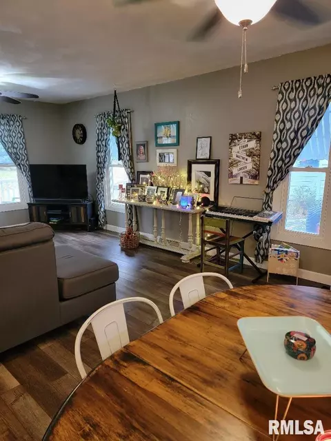 250 N 3rd Ave, Canton, IL 61520 photo 9