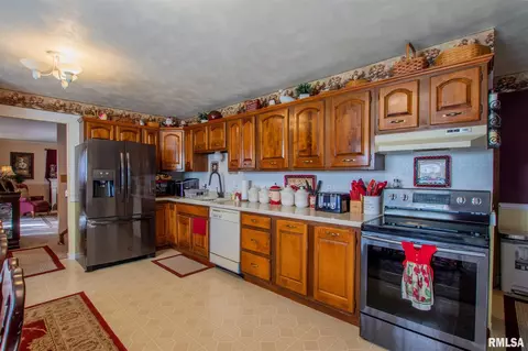 15516 E Geronimo Dr, Cuba, IL 61427 photo 9