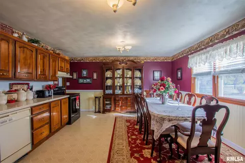 15516 E Geronimo Dr, Cuba, IL 61427 photo 7