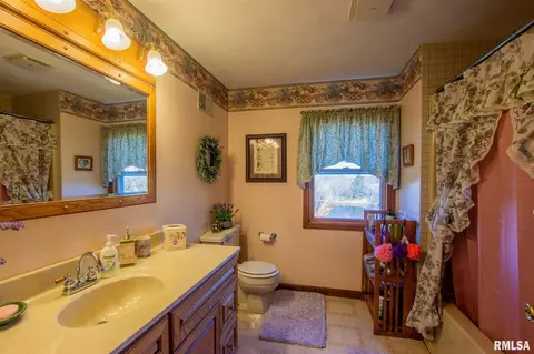15516 E Geronimo Dr, Cuba, IL 61427 photo 20
