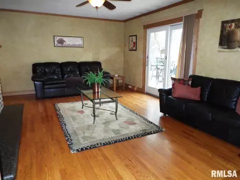 29 Forestview Rd, Morton, IL 61550 photo 8