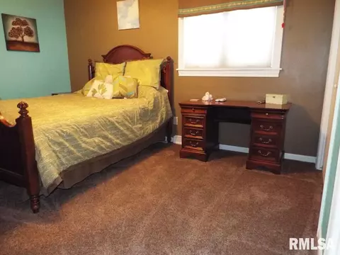29 Forestview Rd, Morton, IL 61550 photo 27